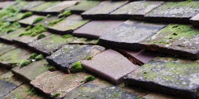 Staple Hill roof repair costs
